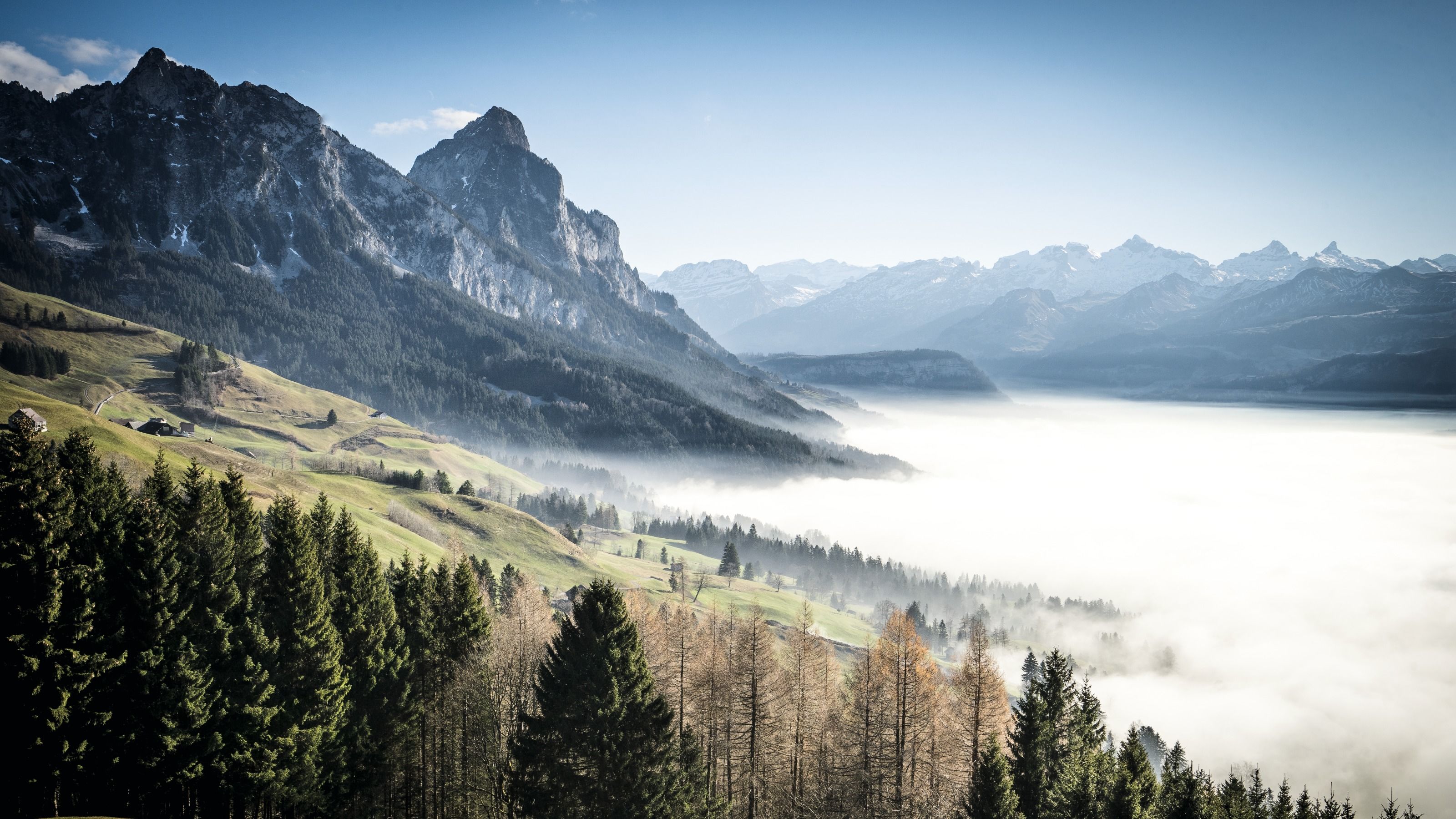 Girls in Schwyz